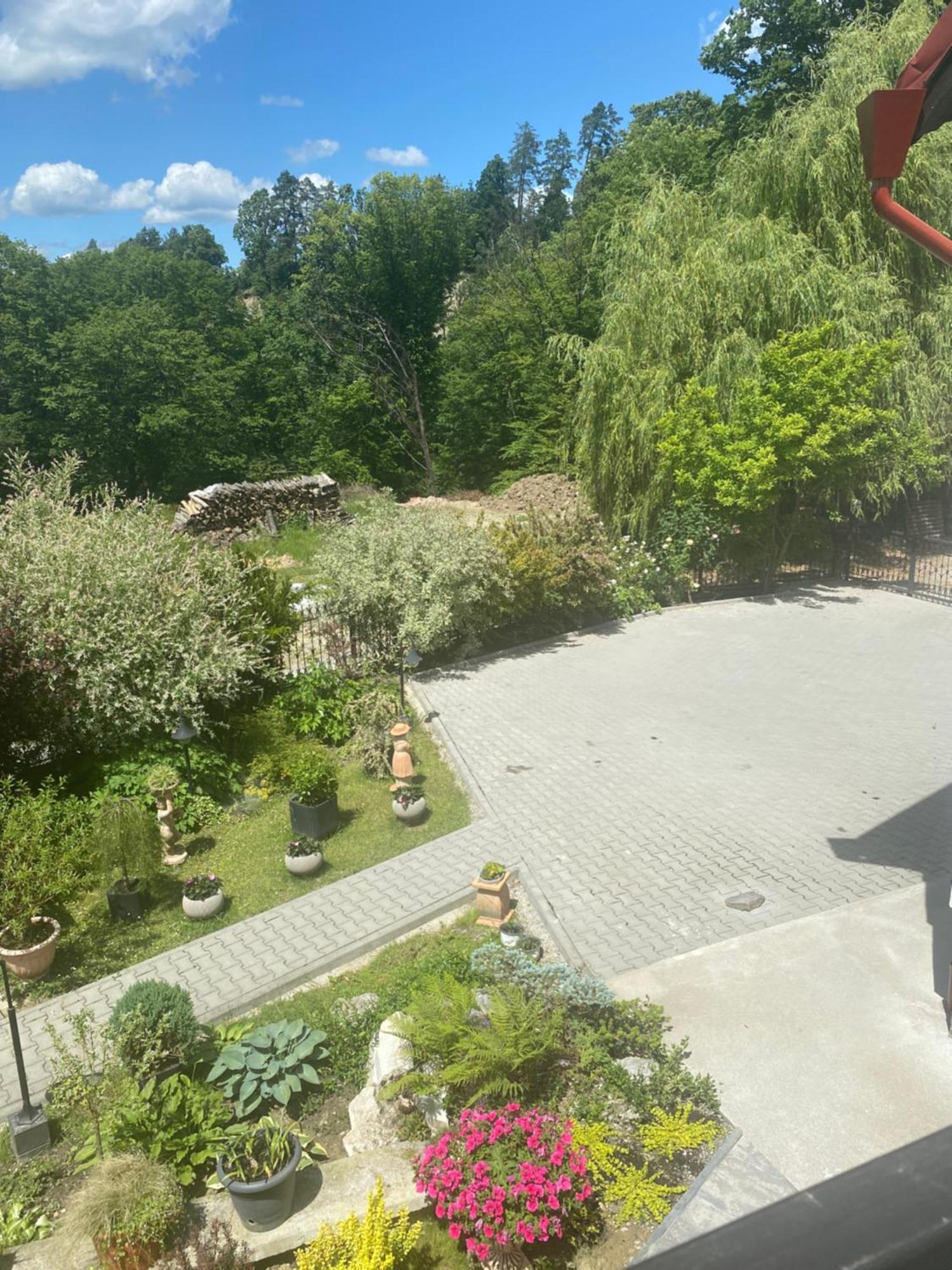 Nu Ma Uita 2 Villa Szováta Kültér fotó