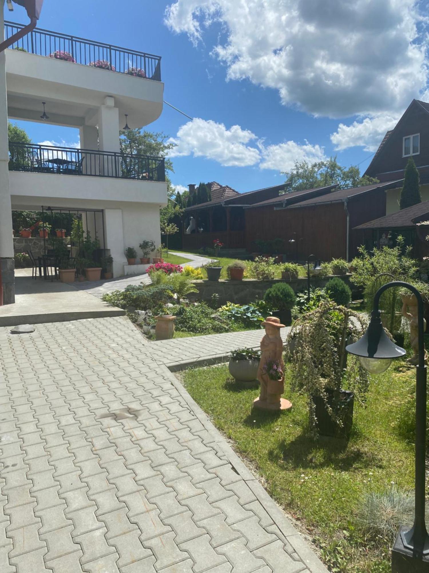 Nu Ma Uita 2 Villa Szováta Kültér fotó